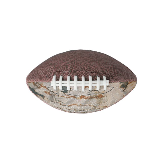Falln Stained Elegance Football (Front)