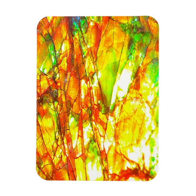 Falln Sunset Ammolite Magnet (Vertical)