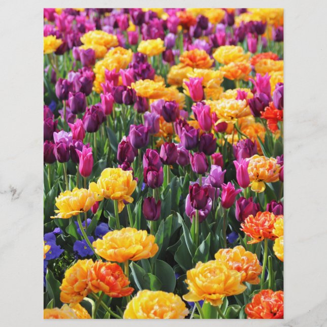 Falln Sunset Floral River (Front)