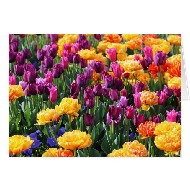 Falln Sunset Floral River (Front Horizontal)