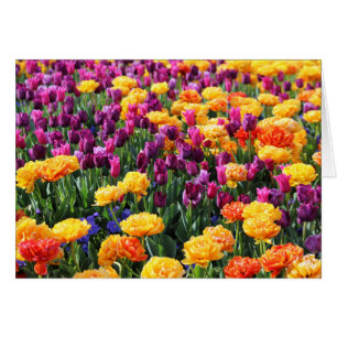 Falln Sunset Floral River