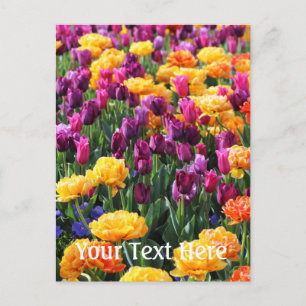 Falln Sunset Floral River Postcard