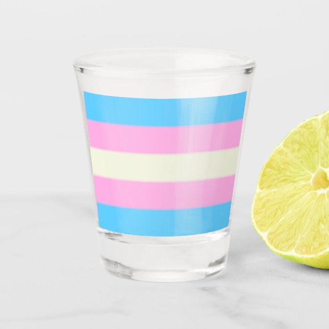 Falln Trans Pride Flag  Shot Glass (Front)