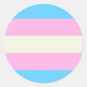 Falln Transgender Pride Flag Classic Round Sticker
