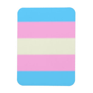 Falln Transgender Pride Flag Magnet