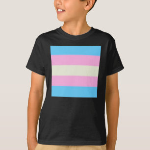 Falln Transgender Pride Flag T-Shirt