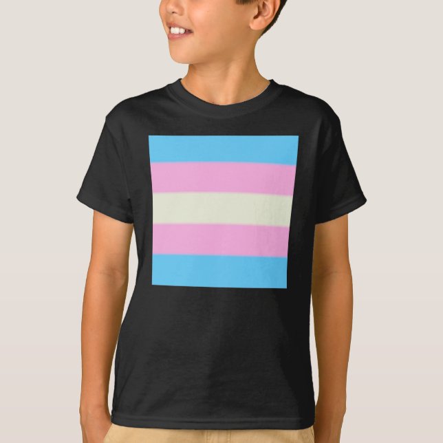 Falln Transgender Pride Flag T-Shirt (Front)