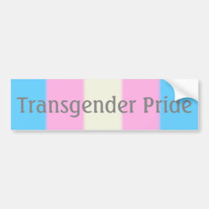 Falln Transgender Pride Flag Version 2 (Text) Bumper Sticker