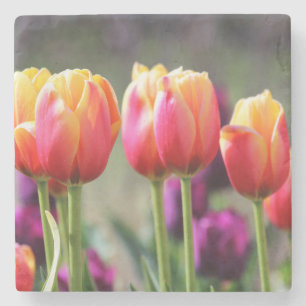 Falln Tulips Aflame Stone Coaster
