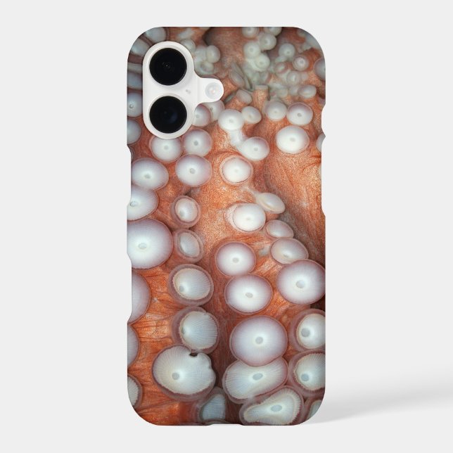 Falln Up Close Octopus (Back)