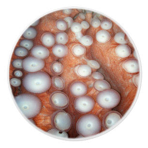 Falln Up Close Octopus Ceramic Knob
