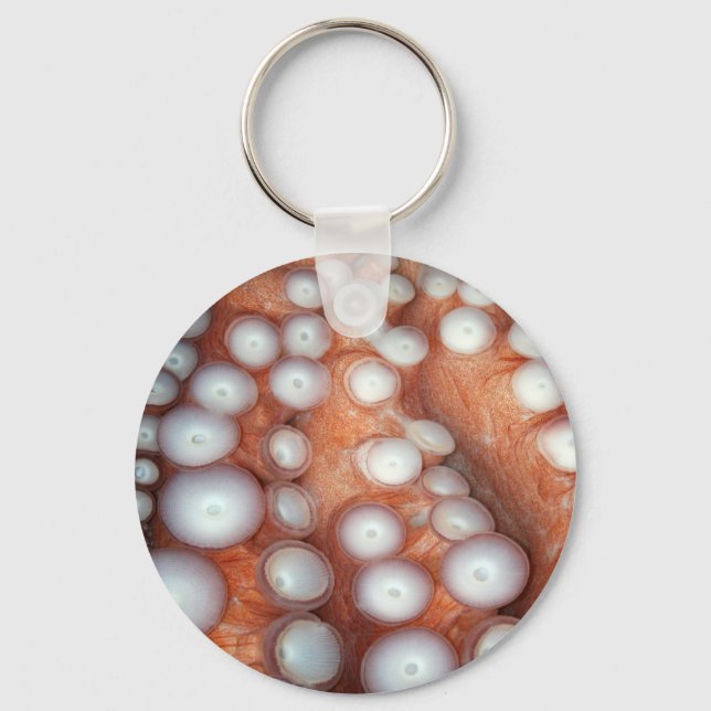 Falln Up Close Octopus Key Ring (Front)