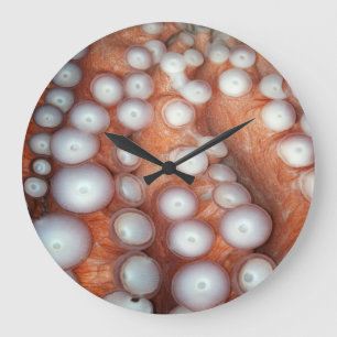 Falln Up Close Octopus Large Clock