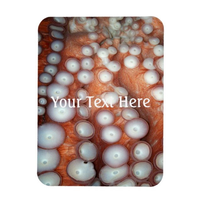 Falln Up Close Octopus Magnet (Vertical)
