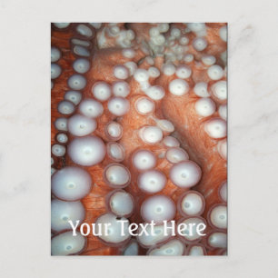 Falln Up Close Octopus Postcard