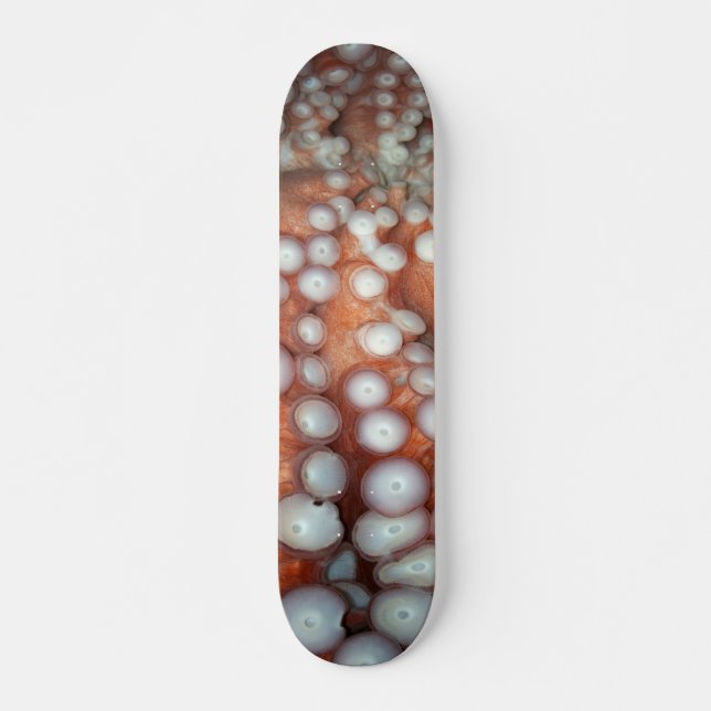 Falln Up Close Octopus Skateboard (Front)