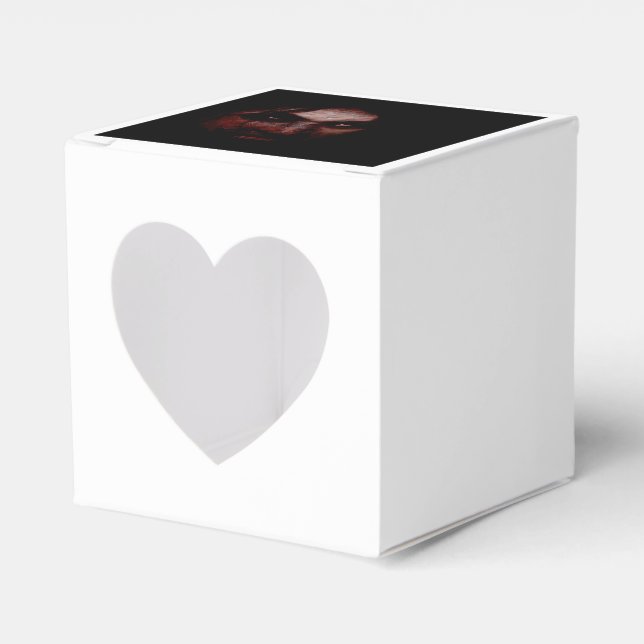 Falln Waiting For You Favour Box (Front Side)