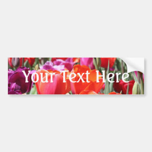Falln Warm Tulips Bumper Sticker
