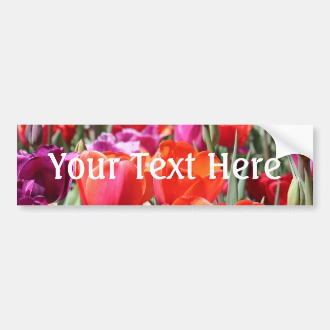 Falln Warm Tulips Bumper Sticker (Front)