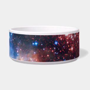 Falln Westerlund Star Field