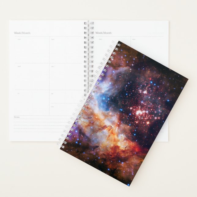 Falln Westerlund Starfield Planner (Display)