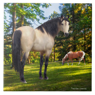 "Fallon"  Ceramic Tile