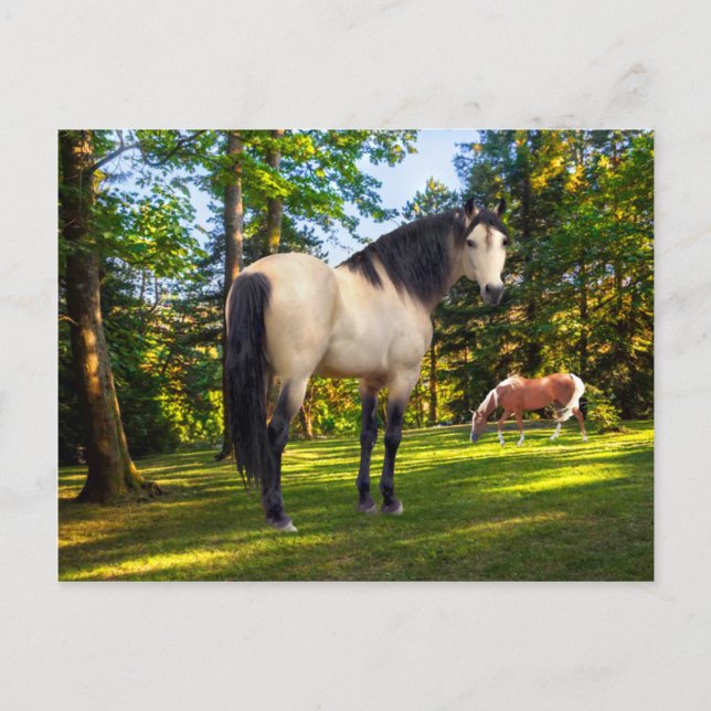 "Fallon"  Postcard (Front)