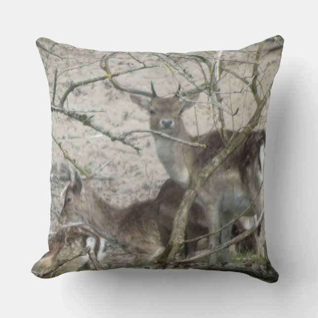 Fallow Deer in Forest Throw Pillow (Front)