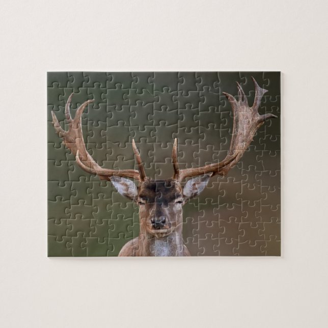 Fallow Deer is Judging You Jigsaw Puzzle (Horizontal)