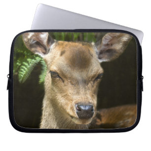 Fallow Deer Laptop Sleeve