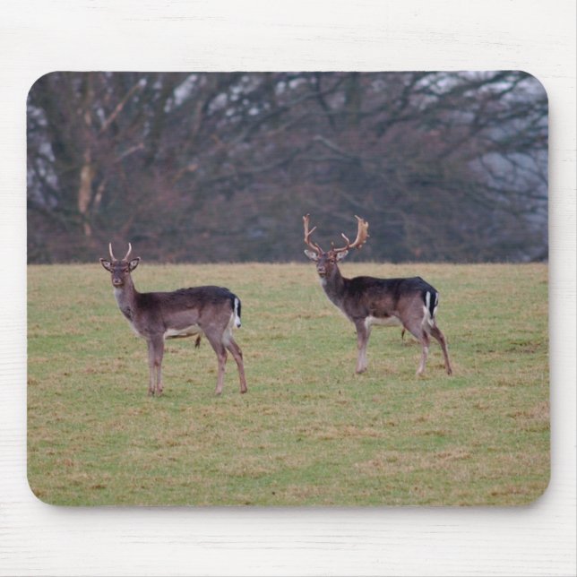 Fallow deer mouse pad (Front)