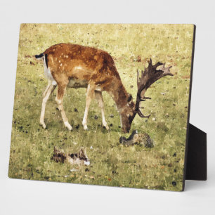 FALLOW DEER PLAQUE