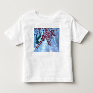 False colour satellite toddler T-Shirt