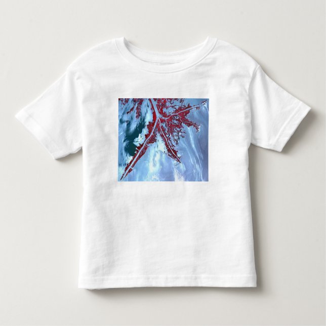 False colour satellite toddler T-Shirt (Front)
