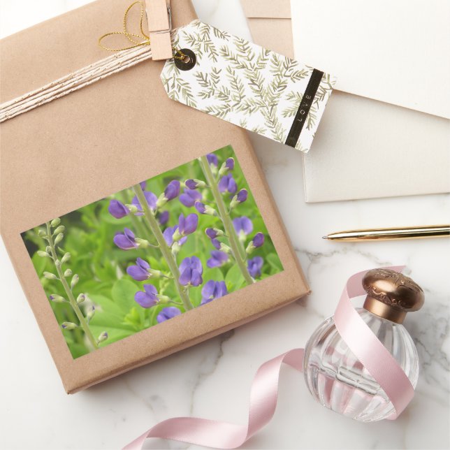 False Indigo (Baptisia australis) Rectangular Sticker (Gifting)