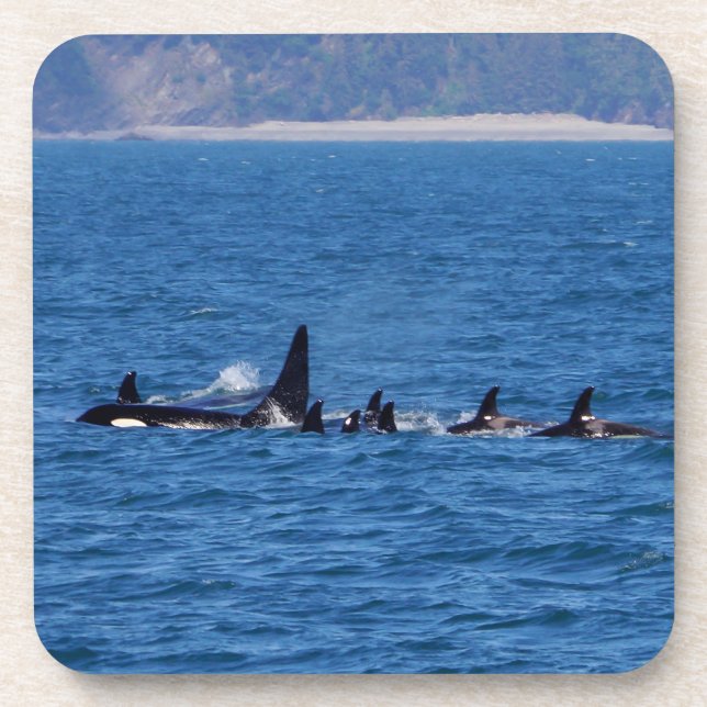 Families Stick Together Coaster (Front)