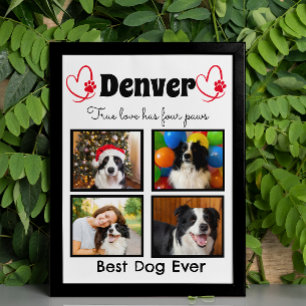 Family 4 photo customised dog collage poster