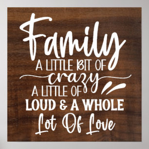 Family A Little Bit Of Crazy Poster