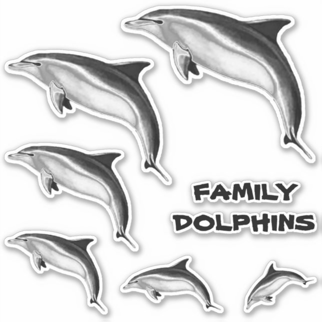 FAMILY BOTTLENOSE DOLPHINS (Front)