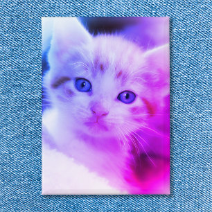 Family Cat Photo Blue Pink Ombre