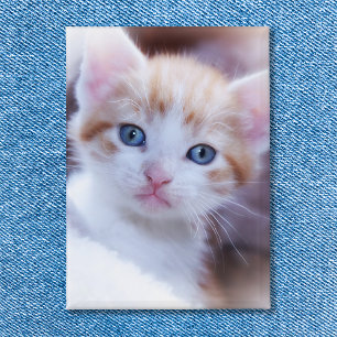 Family Cat Vertical Portrait Photo