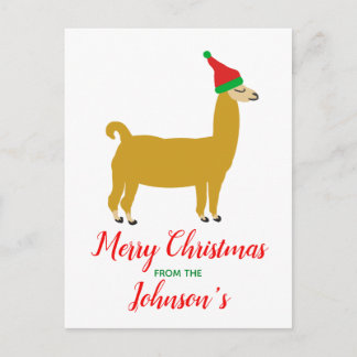 Family Christmas Llama Postcard