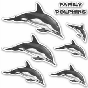 FAMILY COMMON DOLPHIN