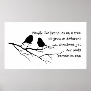 Family like branches on a tree Saying with Birds Poster