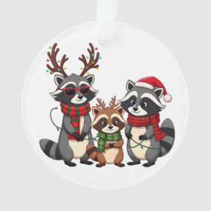 Family Matching Christmas Raccoons Santa Hat Ornament