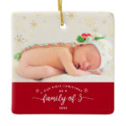 Family of 3 Baby First Christmas Snowflake Photo