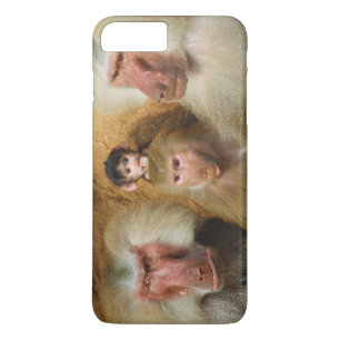 Family of Baboons Papio Hamadryas Cologne Zoo iPhone 8 Plus/7 Plus Case