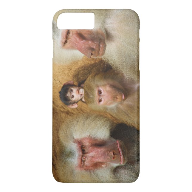 Family of Baboons Papio Hamadryas Cologne Zoo Case-Mate iPhone Case (Back)