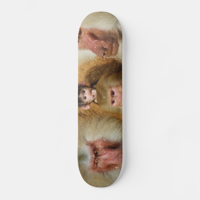 Family of Baboons Papio Hamadryas Cologne Zoo Skateboard (Front)