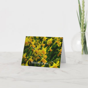 Family Of Daffodils Thinking Of You Card